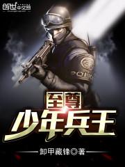 至尊兵王免费阅读全文