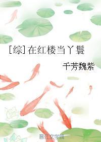 在红楼当丫鬟综甜梦文库